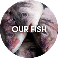 ourfish